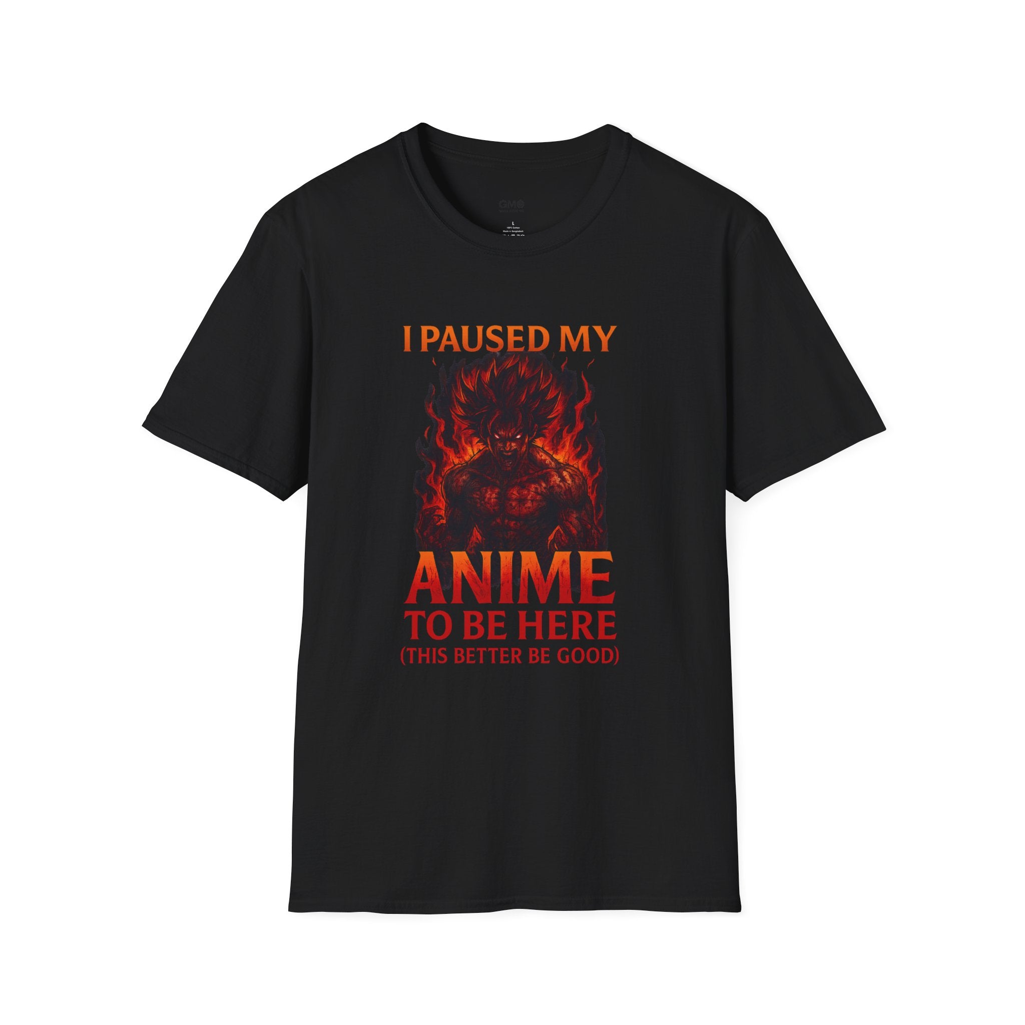 I Paused My Anime to Be Here