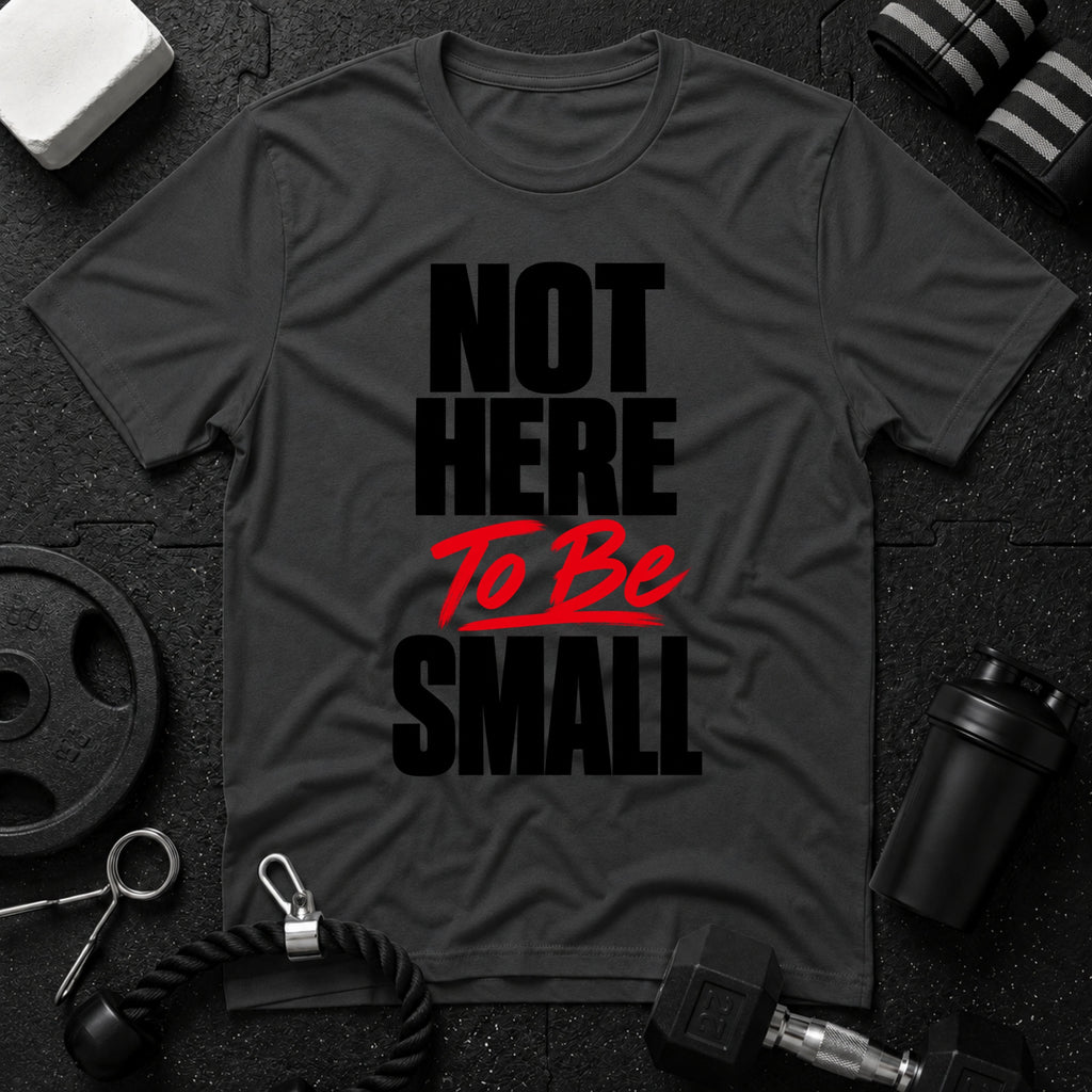 Not Here To Be Small T-Shirt - Dark Heather